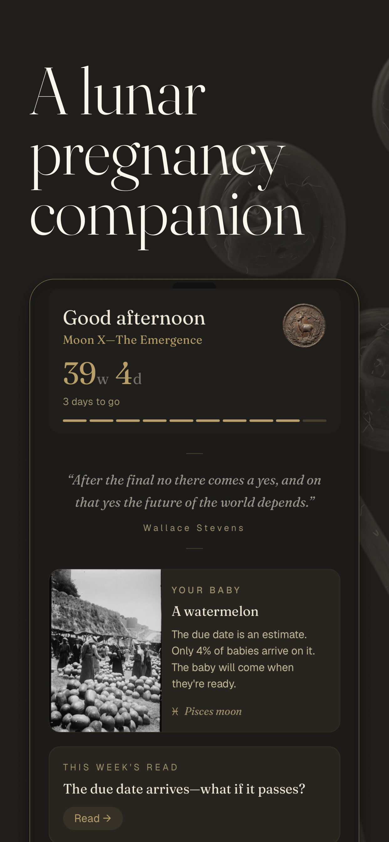 Artemisia home screen — A lunar pregnancy companion